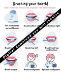 Brushing Teeth Visual Guide PDF