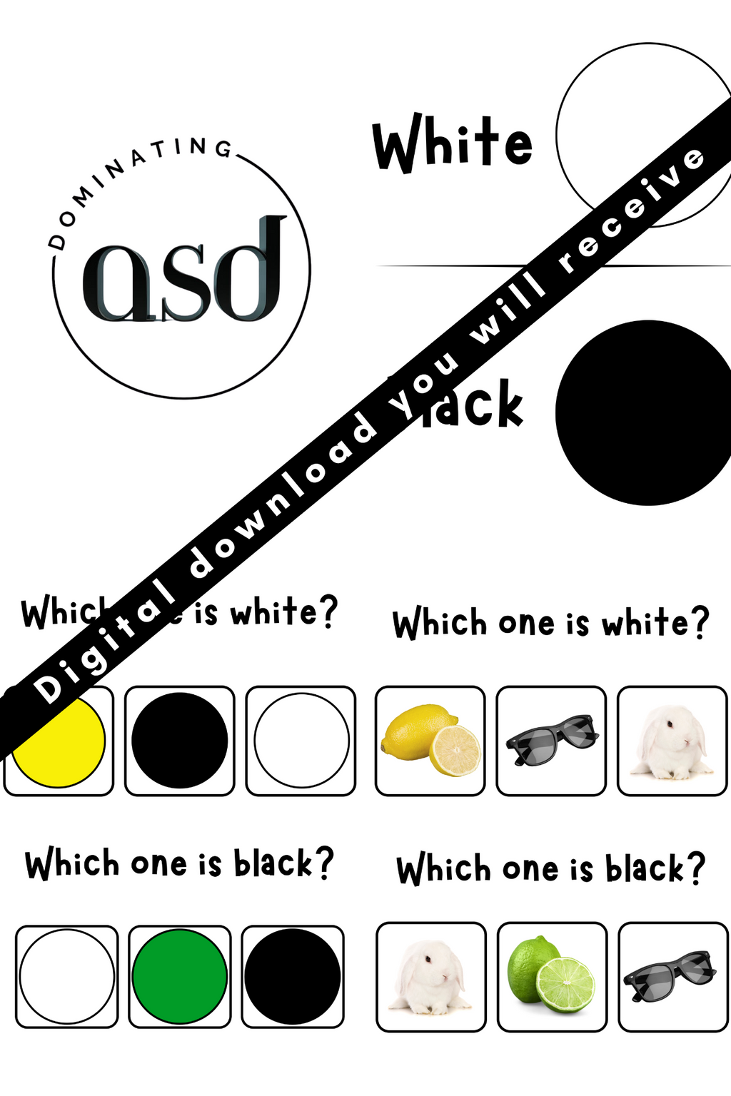 Let's Learn Our Colors Bundle PDF