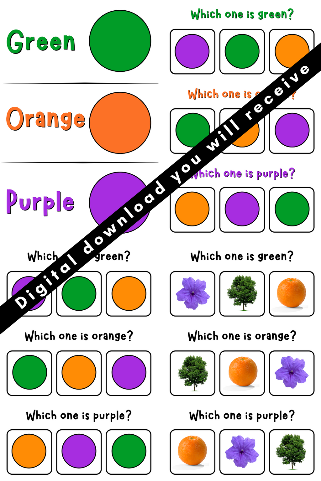 Let's Learn Our Colors Bundle PDF
