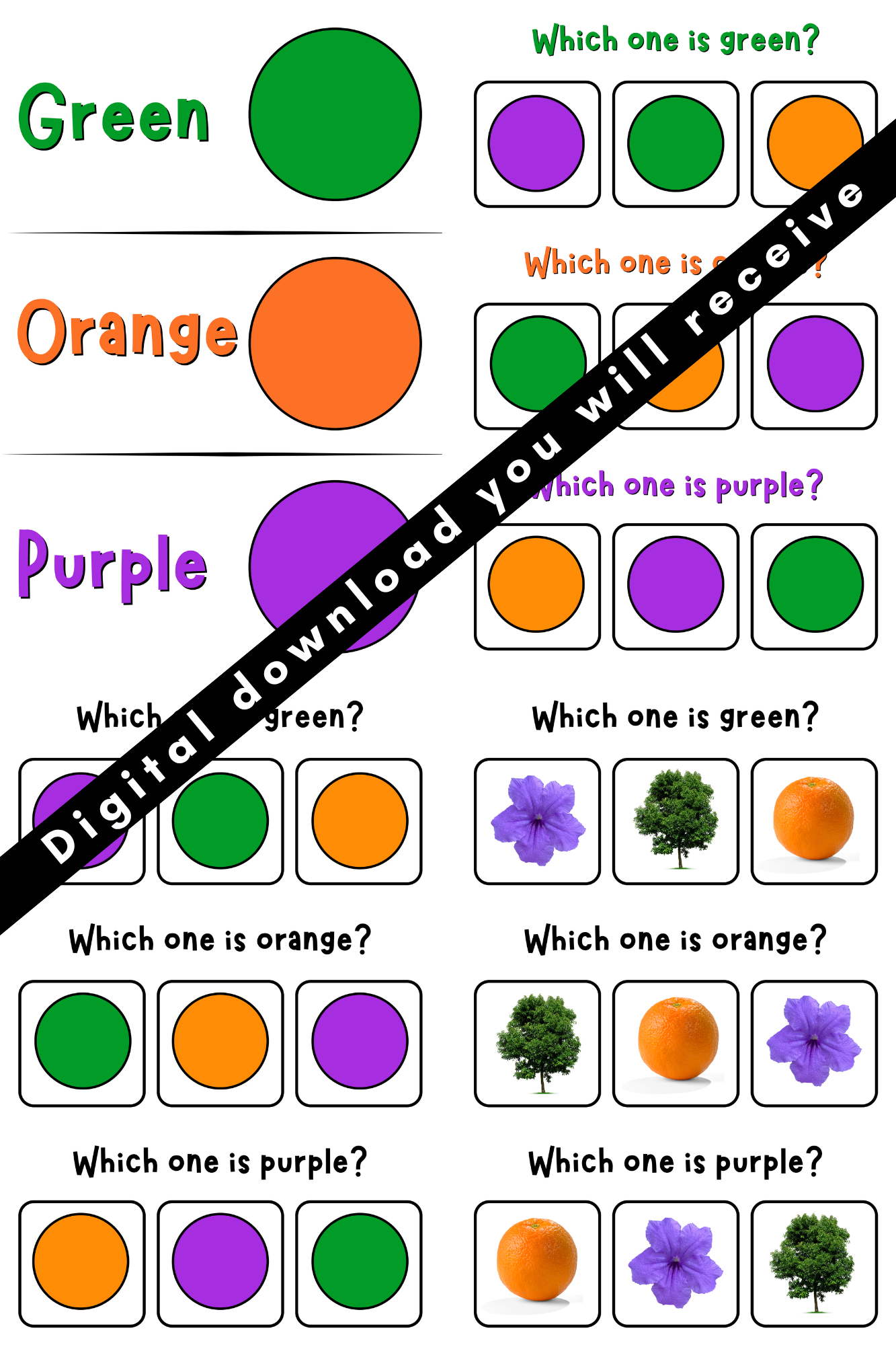 Let's Learn Our Colors Bundle PDF