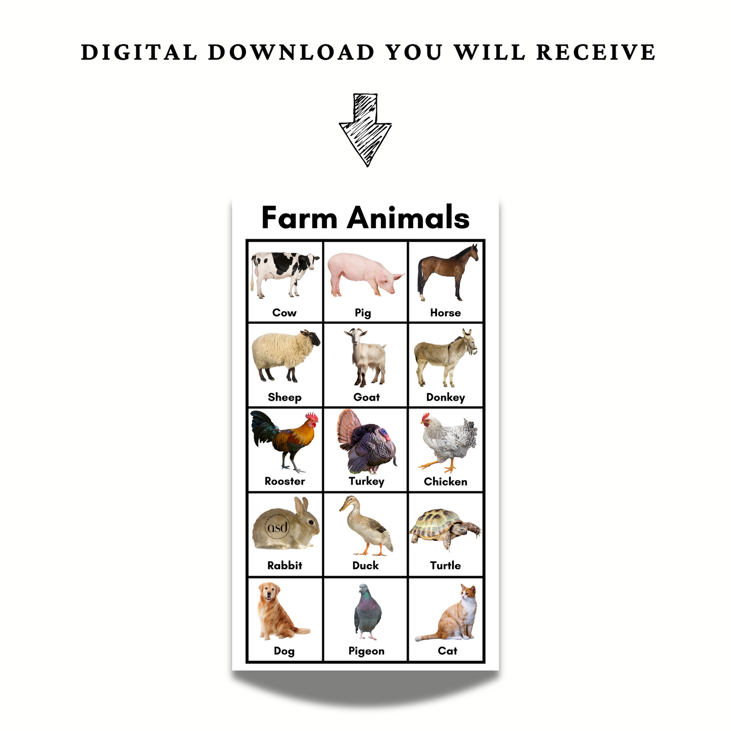 Farm Animal Chart