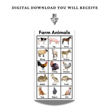 Farm Animal Chart